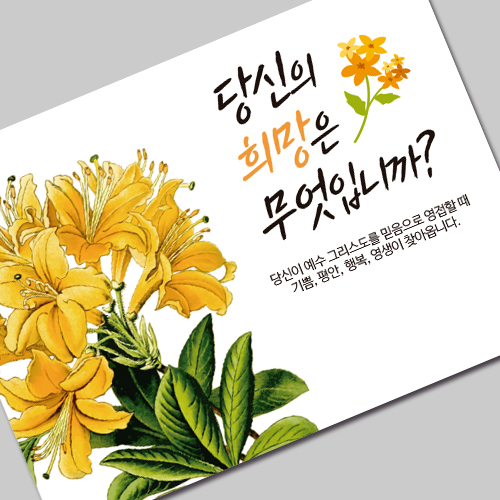 (10%할인)그레이스 엽서전도지_1-2 당신의 희망은 무엇입니까?