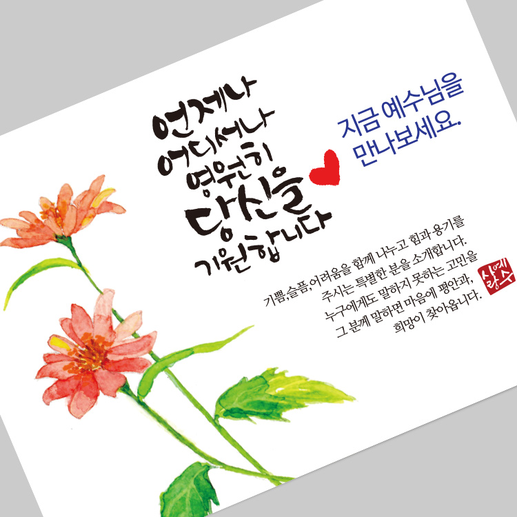 (10%할인)그레이스 엽서전도지_2-3 예수님을 만나보세요(데이지)