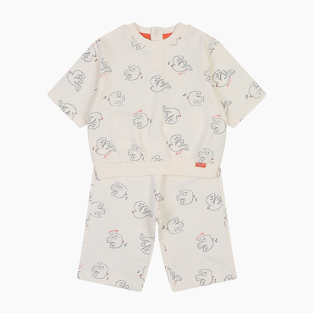 [압소바] 케이든 상하 A2121294