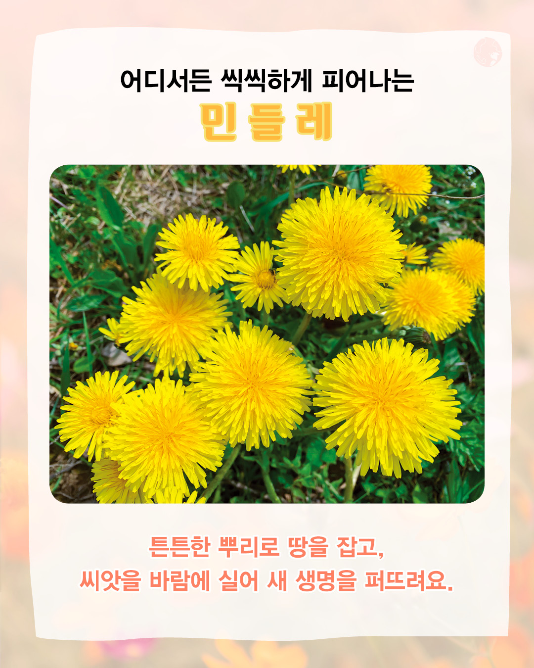 99e9e87cf65a44a9eeb933ef51433655_094713.jpg 99e9e87cf65a44a9eeb933ef51433655_094713.jpg
