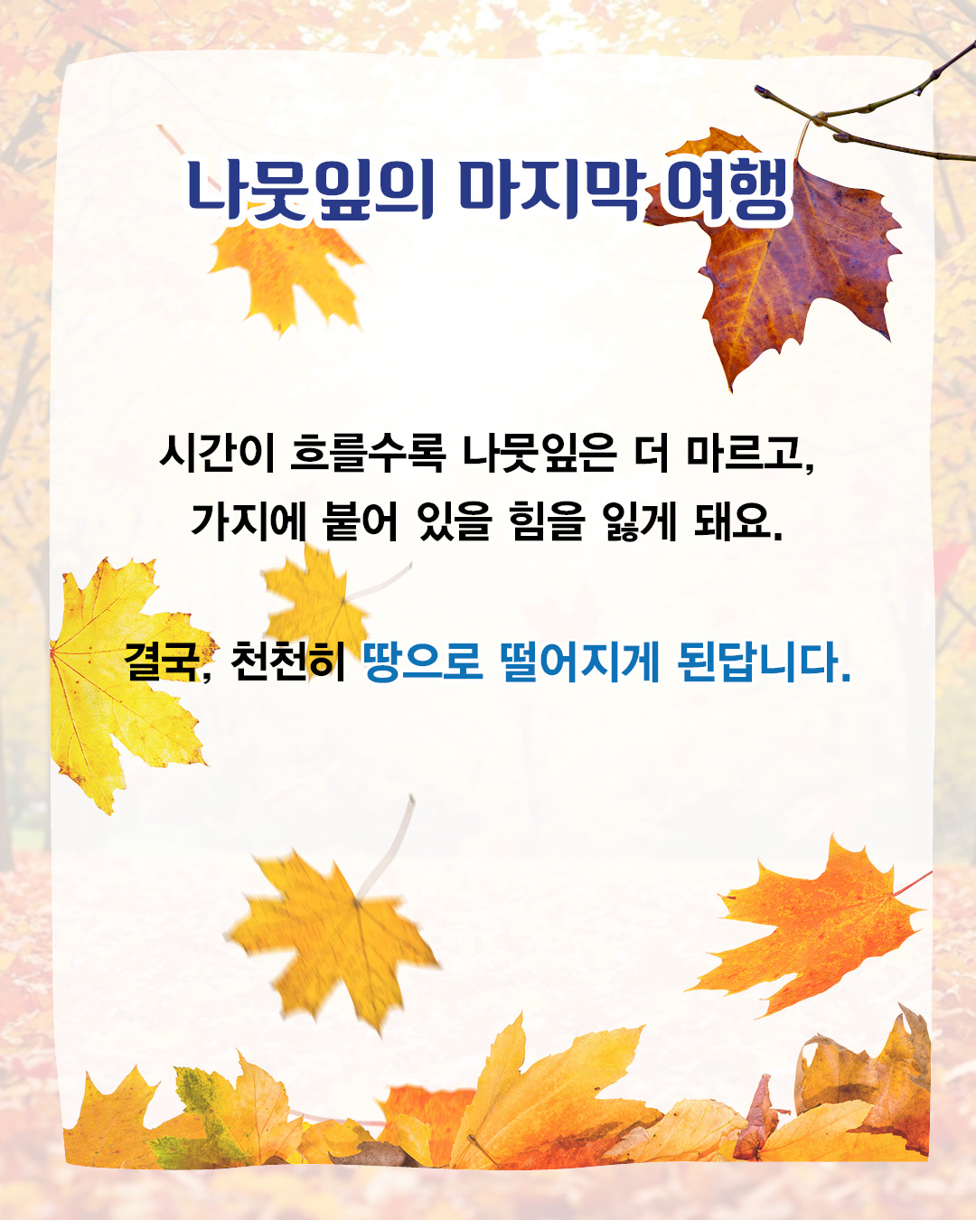 e6b911115004f8c57378af628e2817a6_093504.jpg e6b911115004f8c57378af628e2817a6_093504.jpg