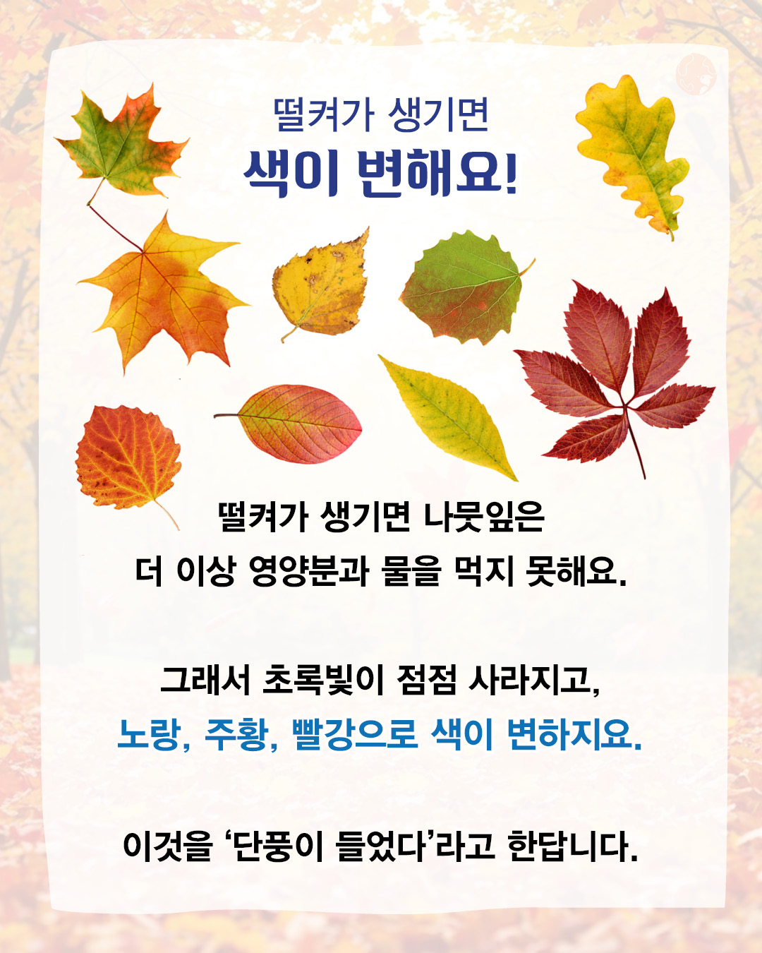 de0e50de77edc979994229356eca4a2e_093503.jpg de0e50de77edc979994229356eca4a2e_093503.jpg