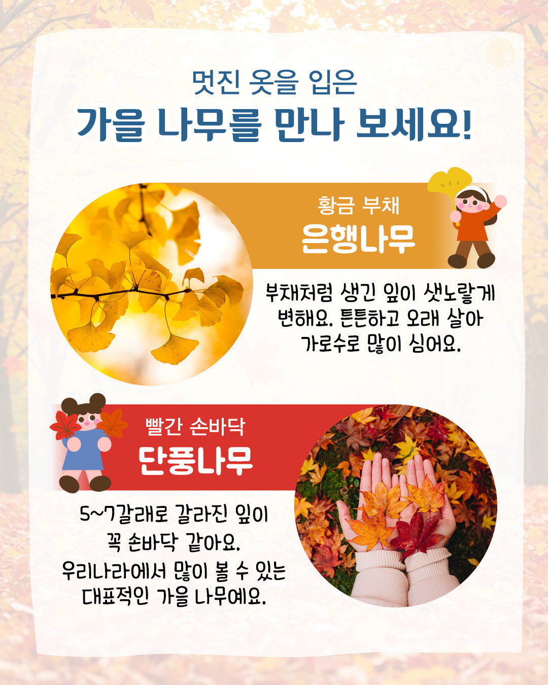 a43e0dd7dd7083e2fcb55631790646b8_093810.jpg a43e0dd7dd7083e2fcb55631790646b8_093810.jpg