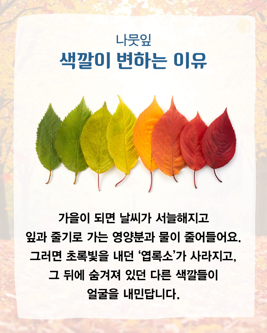 4c3feed22f0784f36863df54f76e81eb_093807.jpg 4c3feed22f0784f36863df54f76e81eb_093807.jpg