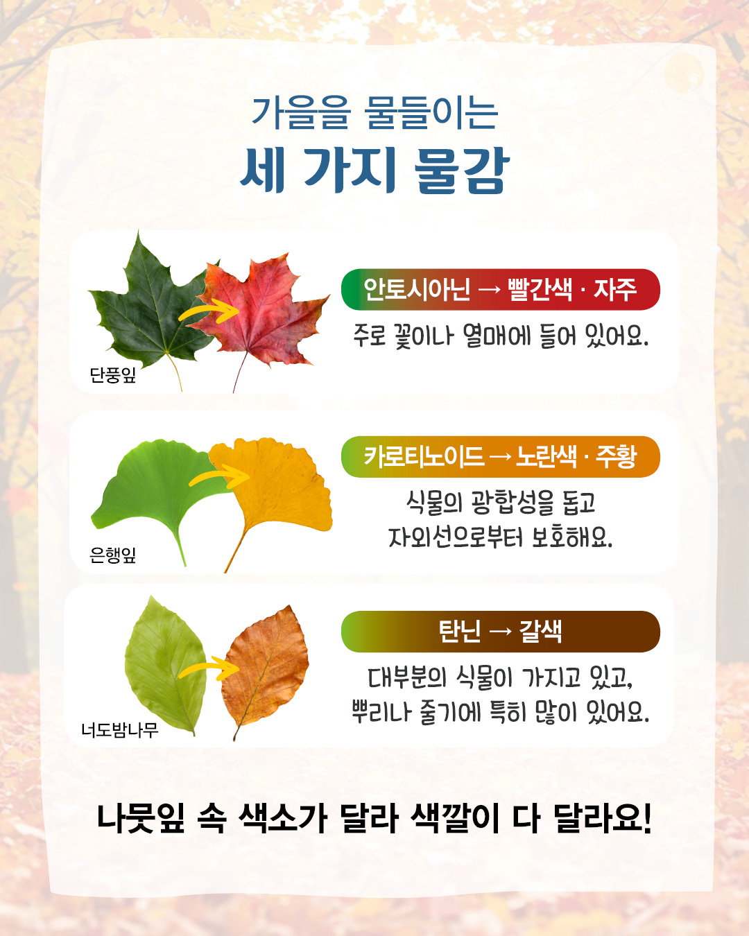 d9b51ae94101ba902b694b6f7448c217_093809.jpg d9b51ae94101ba902b694b6f7448c217_093809.jpg