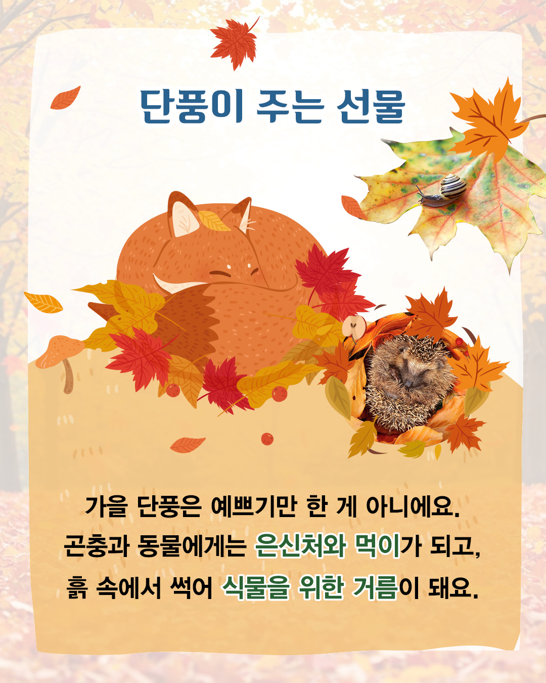 914352d3ecdc09329226e4ad080cf7d5_093813.jpg 914352d3ecdc09329226e4ad080cf7d5_093813.jpg