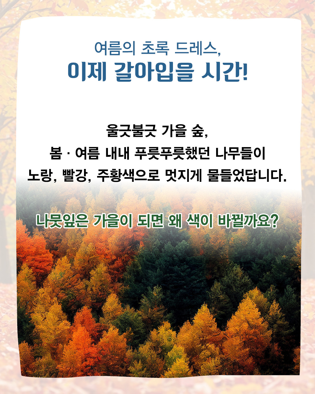 dcd437dd4efc48221faa0312fa1fb8cf_093806.jpg dcd437dd4efc48221faa0312fa1fb8cf_093806.jpg