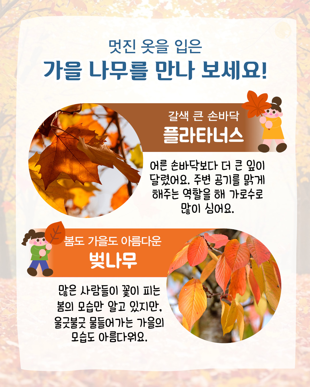 b750c3196f6ecc9fb2c0aae92a36c3cd_093812.jpg b750c3196f6ecc9fb2c0aae92a36c3cd_093812.jpg