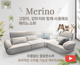 메리노1.jpg