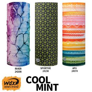 윈드익스트림 WX COOLMINT -정찰-