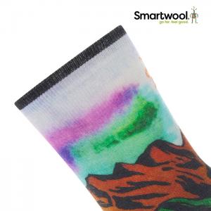 스마트울 Trail Run Targeted Cushion Singletrack Print Crew Socks