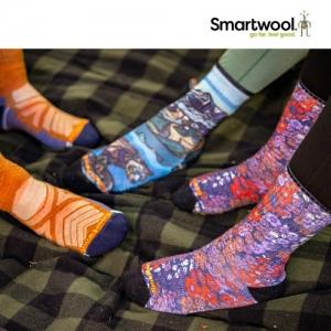 스마트울 Hike Light Cushion Mid Crew Socks
