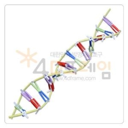 4D프레임 DNA3