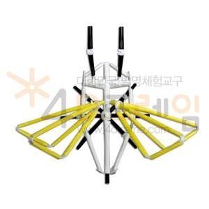 4D프레임 곤충(입체)-벌