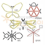 4D프레임 곤충(평면) 세트