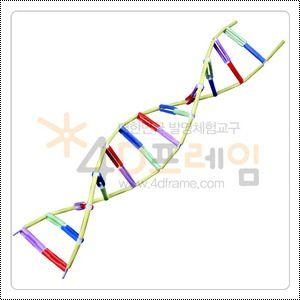 4D프레임 DNA5