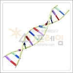 4D프레임 DNA5