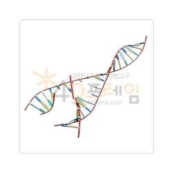 4D프레임 생명체의 설계도 DNA 복제 과정
