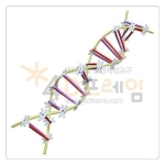 4D프레임 DNA1