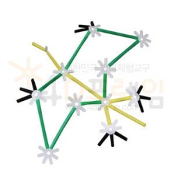 4D프레임 익룡