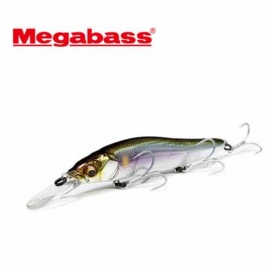 [메가배스] 원텐 R+1