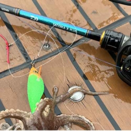 [다이와] 타코이카 X 플러스 쭈꾸미 갑오징어 쭈갑