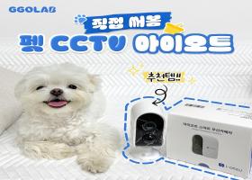 꼬 - 하 !우리 엄마가 혼자있는 내가 걱정되서 홈캠을 설치했댕냥!   아이오트 무선 CCTV   설치비, 유지비 ZERO ! 복잡한 선 연결없이 초간단 설치   고화질의 해상도로 어두운 공간이나 밤에도 선명한 야간 모드  모든 것을 담아내는 넓은 화각 & 자유로운 각도조절   한 번 충전으로 90일 작동하는 대용량 배터리   필요한 순간에만 영상녹화 기능 & 경보기능   방수가 .jpg
