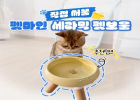 241120_꼬랩_SNS(IG)_후기성_펫보울1.jpg