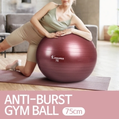 아이워너 다이어트 안티버스트 짐볼 75cm 색상 랜덤 발송