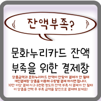 문화누리카드 잔액 부족 할인 상품 부족 금액 만큼 수량 선택 후 결제